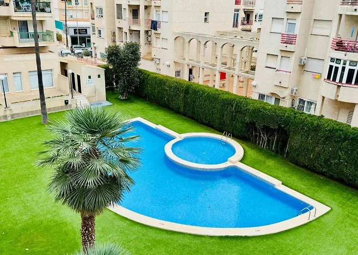 Palatino Albir