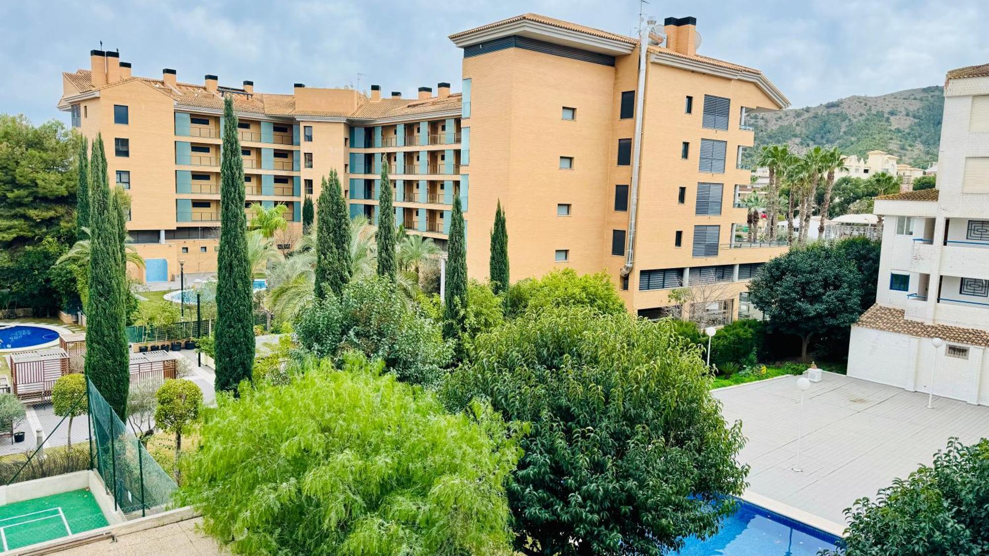 Palatino Albir El Albir