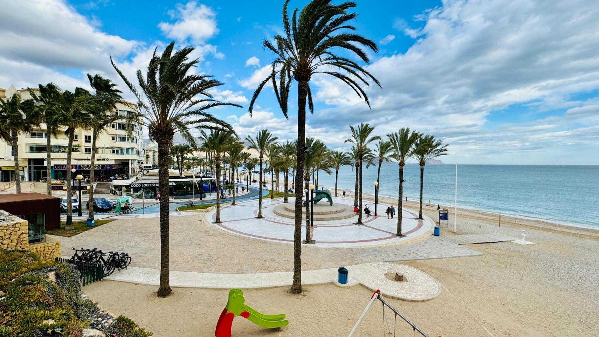 Palatino Albir